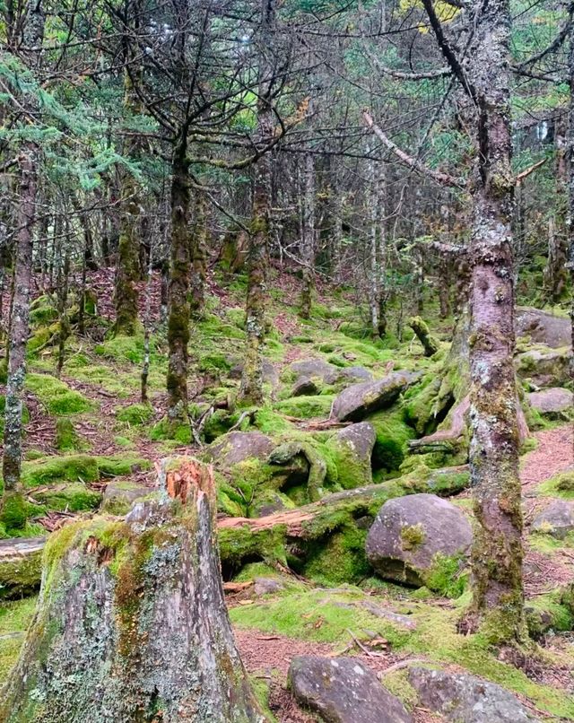 陰雨天賞湖秘境 陰雨天賞湖秘境