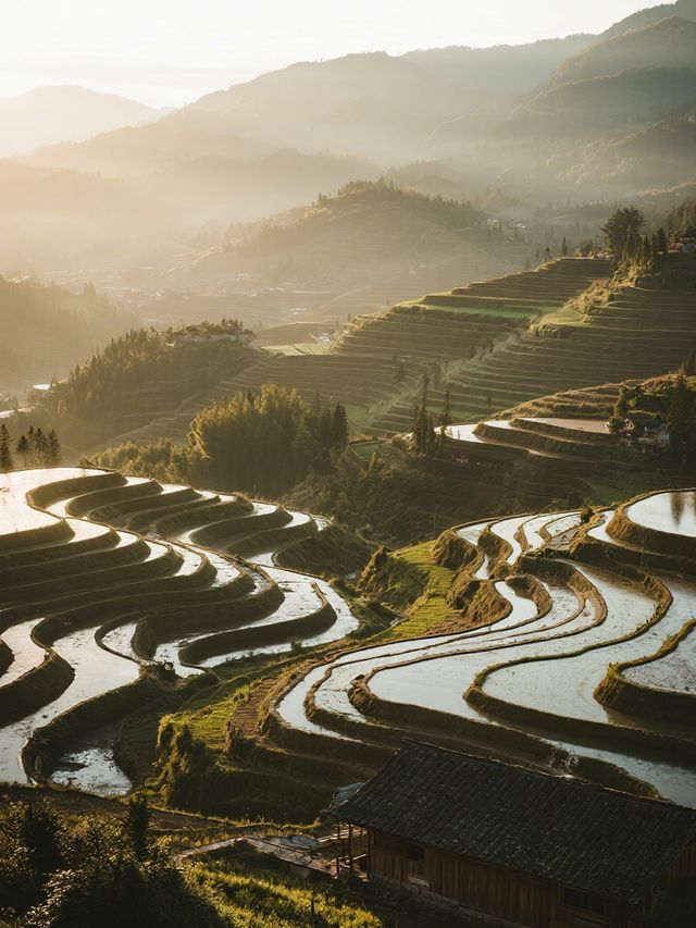 雲和梯田親子慢遊!無車版秋日田園攻略 雲和梯田親子慢遊!無車版秋日田園攻略