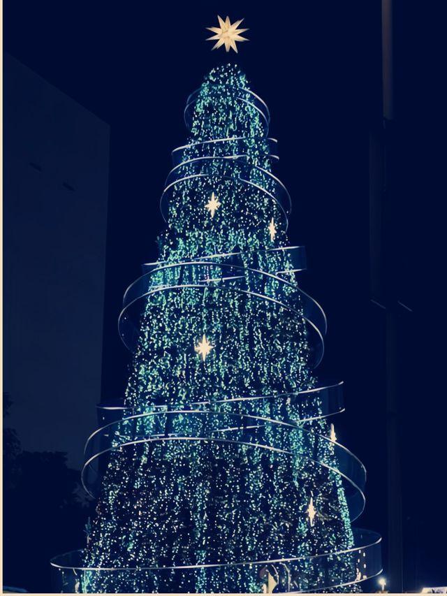 香港聖誕季絕了!姊妹們聽我的,直接衝 香港聖誕季絕了!姊妹們聽我的,直接衝