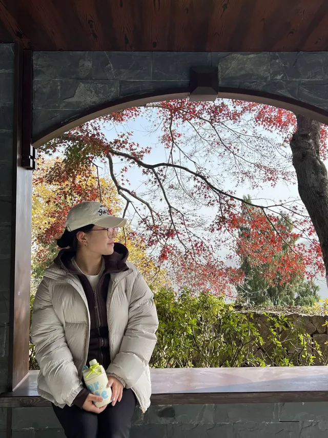 莫干山的正確打開方式 莫干山的正確打開方式