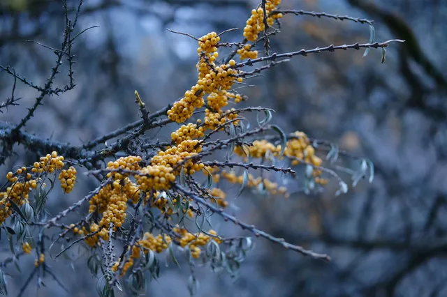 11月底，週末去海螺溝泡個溫泉