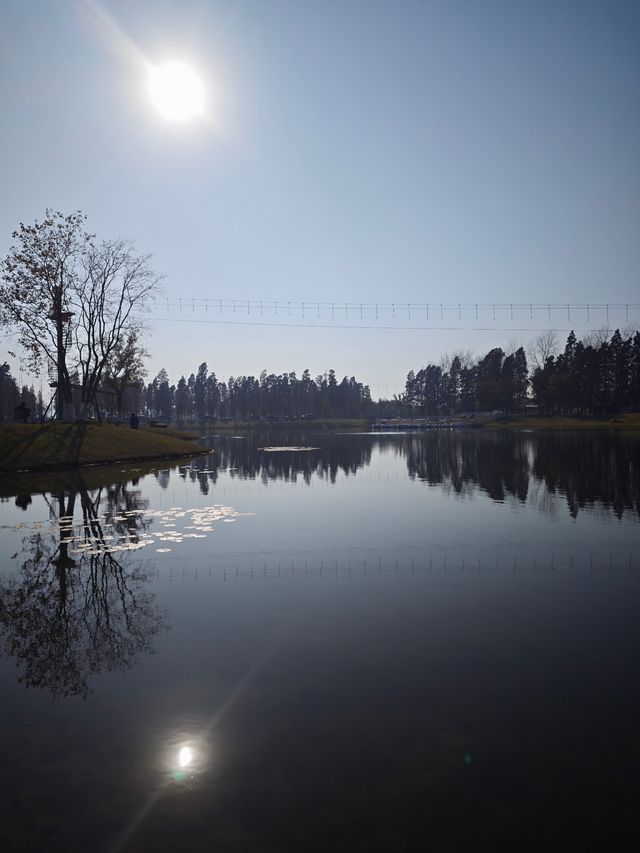 太湖綠地公園 太湖綠地公園