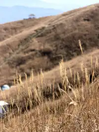 週末女大單兵武功山 全程6h (住山腳版)