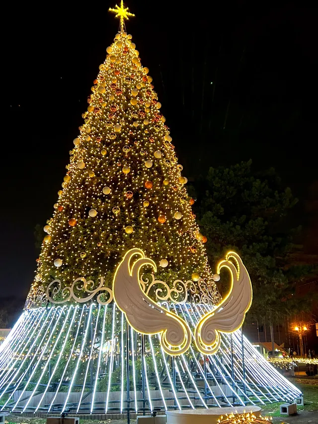 札幌｜白色燈光節