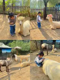 玩瘋了 | 兩天一夜龍之夢也太快樂了吧！