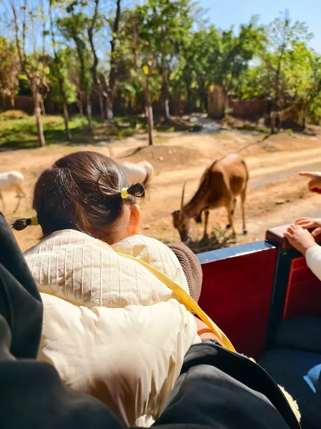 少走彎路清遠長隆一天遊玩攻略 少走彎路清遠長隆一天遊玩攻略