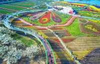 【連雲港3天2晚】人均700元，山海之城西遊記取景地全攻略！