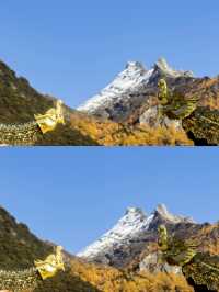 稻城亞丁|沖古寺和神秘的經幡森林