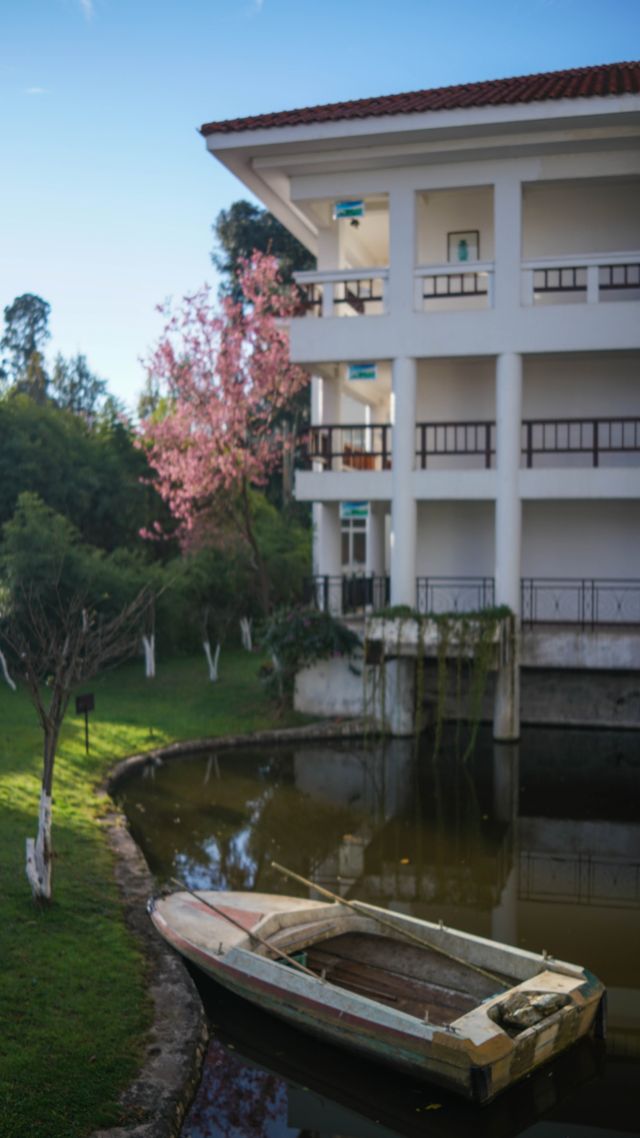 陪老帶娃住昆明-海埂溫泉花園酒店 陪老帶娃住昆明-海埂溫泉花園酒店