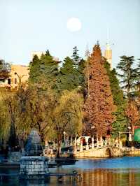 這個冬天就來大觀樓欣賞最美冬景吧