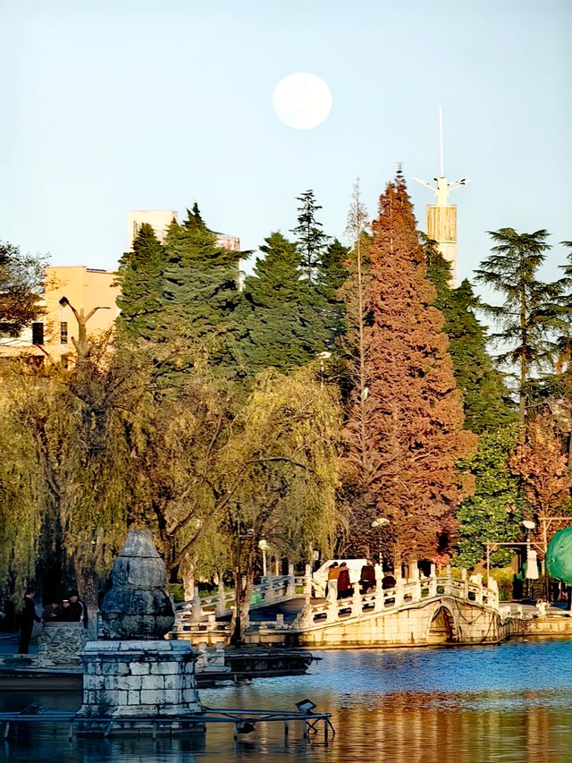 這個冬天就來大觀樓欣賞最美冬景吧