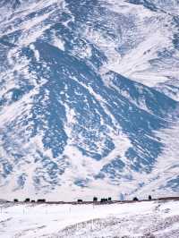 獨享青海冬日秘境