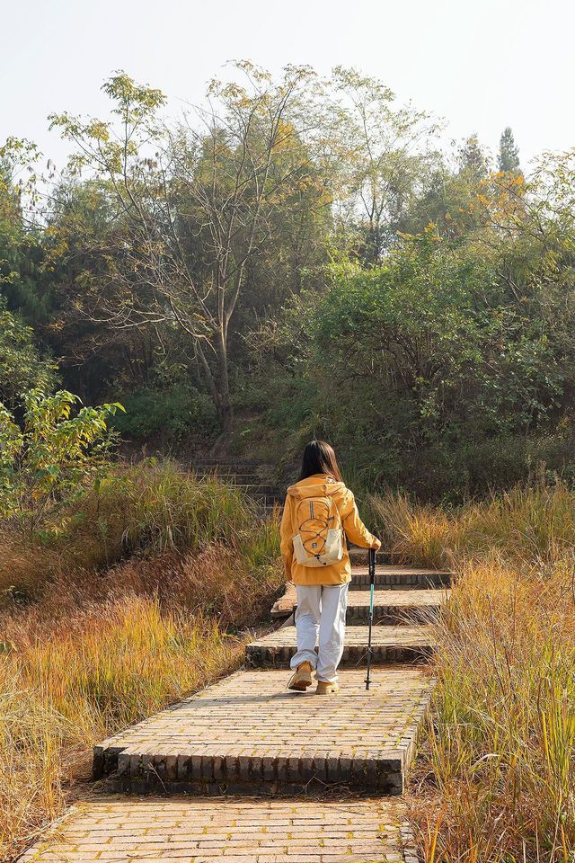 成都0.5h公交直達的秋日橘林徒步路線~#秋季去爬山南門 成都0.5h公交直達的秋日橘林徒步路線~#秋季去爬山南門