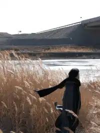 莫高窟｜來自西北的古老文明