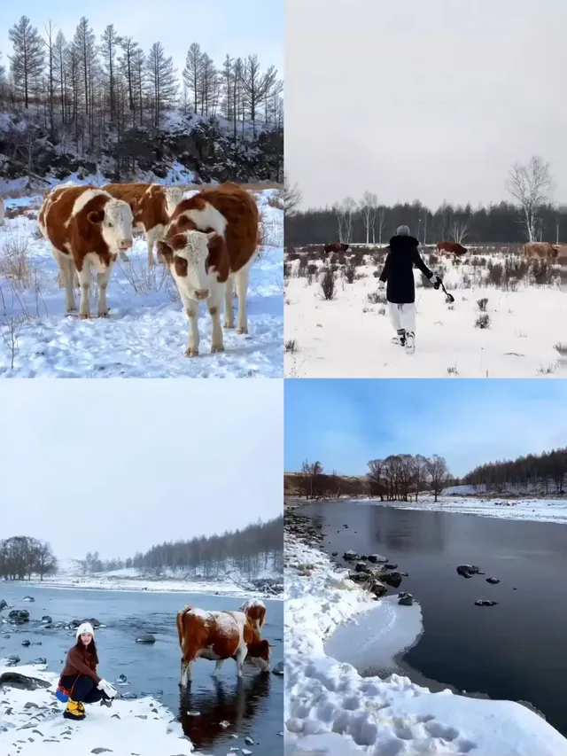 阿爾山輕奢小眾路線攻略雪景童話世界