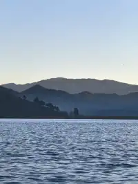 被瀘沽湖美鼠！12.4實拍！