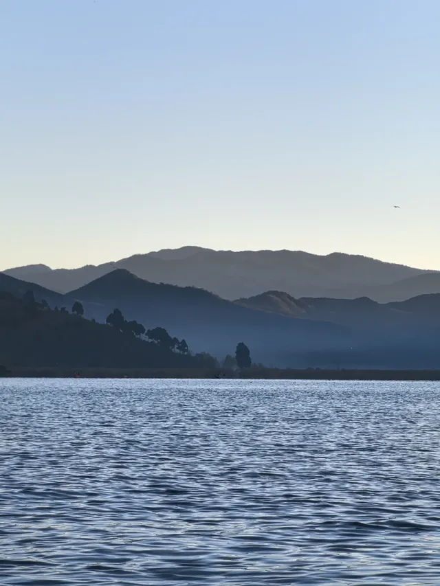 被瀘沽湖美鼠！12.4實拍！