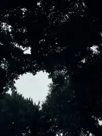 旅遊搭子的核心KPI：出片