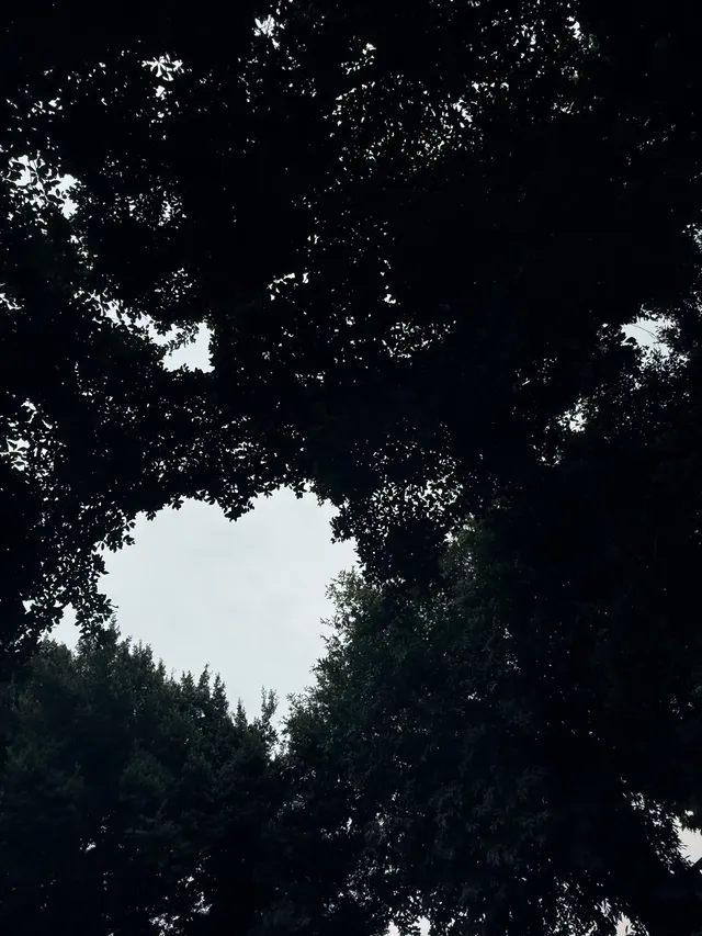 旅遊搭子的核心KPI：出片