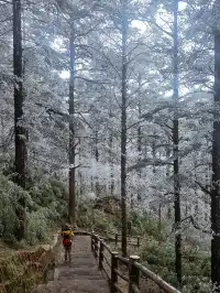 12.4實拍峨眉山的霧淞美瘋了