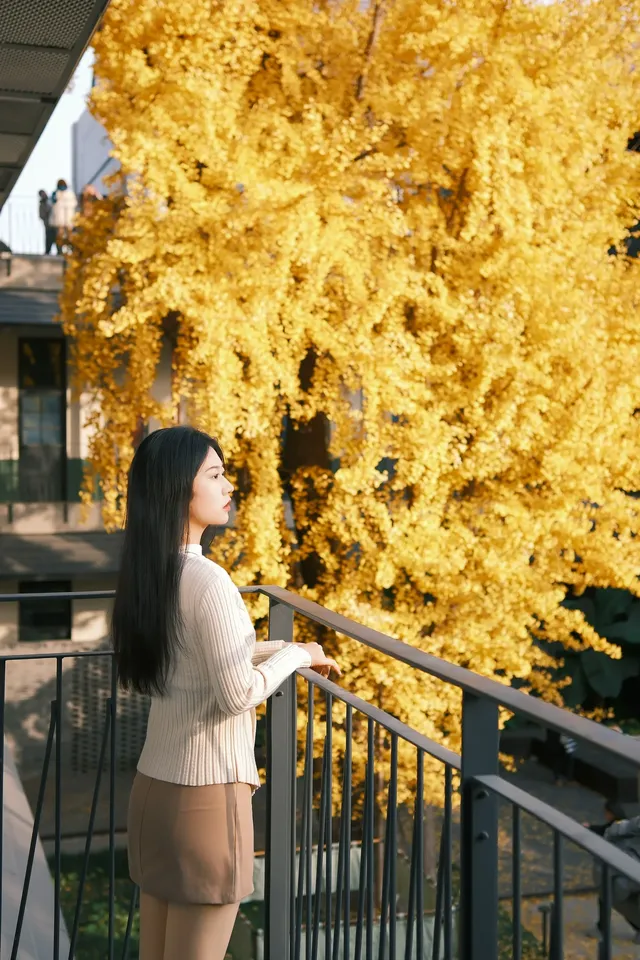 揚州蘇唱街|12月1日下午拍攝,這週得趕緊衝! 揚州蘇唱街|12月1日下午拍攝,這週得趕緊衝!