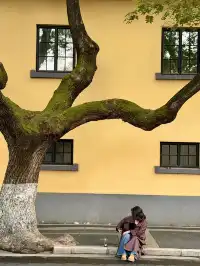 我在南京拍到了莫奈的睡蓮,想看看你拍的