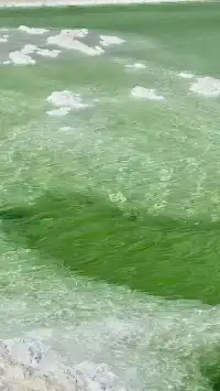 去大西北吧!把靈魂丟進曠野裡