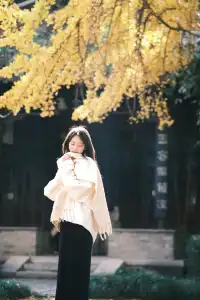 不要錯過揚州看銀杏的時節