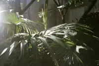 2025年膠片集 | 香港長洲島