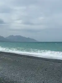 帶5歲娃闖新西蘭南島11天自駕!旅行路線篇