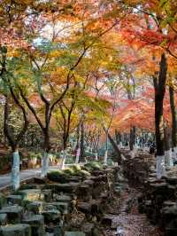 虞山秋日限定常熟紅葉美翻了丨附機位