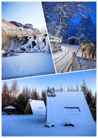 哈爾濱-雪鄉-長白山旅行·私人定制~