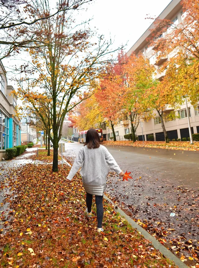 秋色/西雅圖 秋色/西雅圖