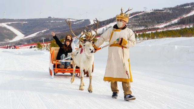 雪如意滑雪場阿拉斯加犬馴鹿巡遊上線 雪如意滑雪場阿拉斯加犬馴鹿巡遊上線