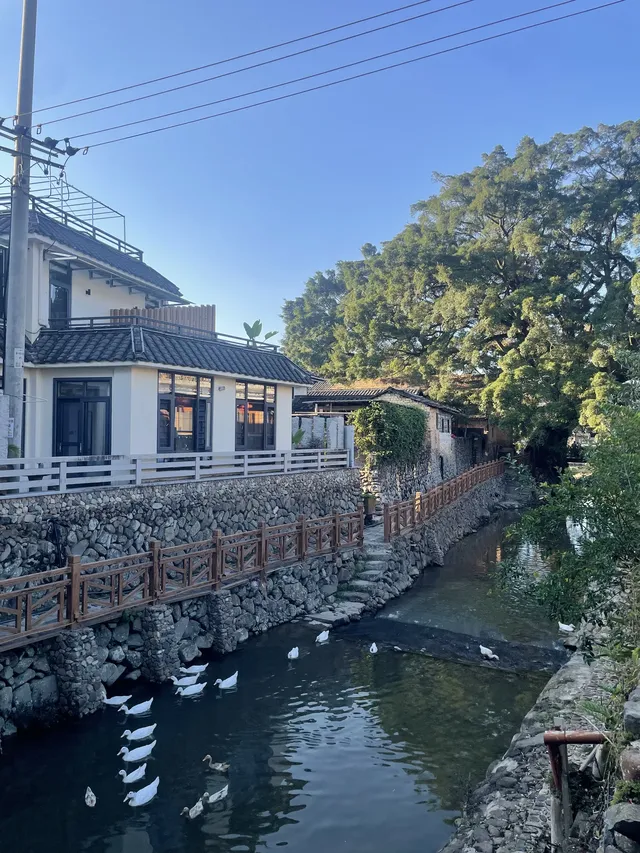 福建雲水謠|帶狗狗走進大魚海棠的童話世界 福建雲水謠|帶狗狗走進大魚海棠的童話世界