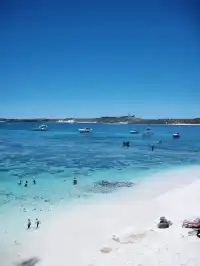 Perth|Rottnest island 🩵