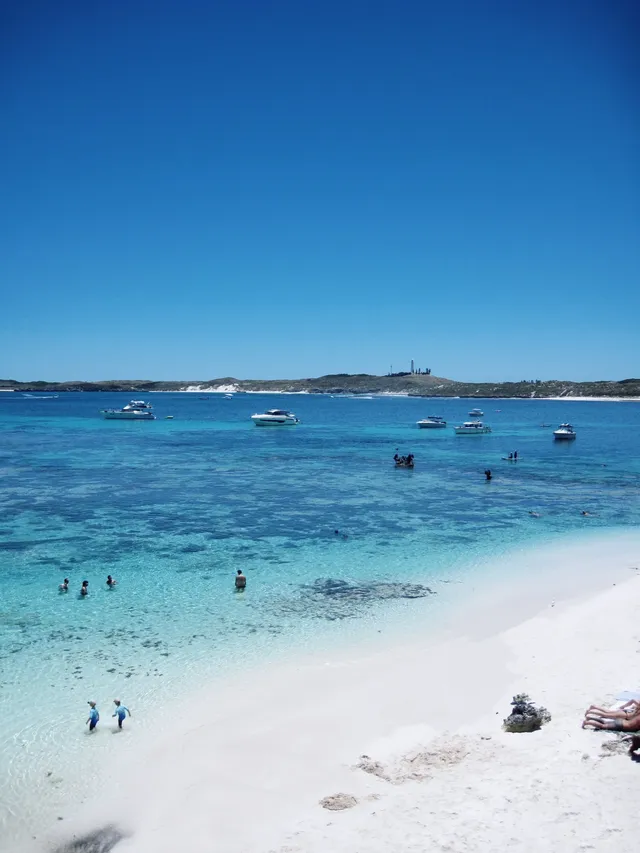 Perth|Rottnest island 🩵 Perth|Rottnest island 🩵