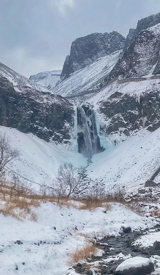 中國最北漠河超全攻略|極光+潑水成冰+馴鹿!3-7日路線 中國最北漠河超全攻略|極光+潑水成冰+馴鹿!3-7日路線