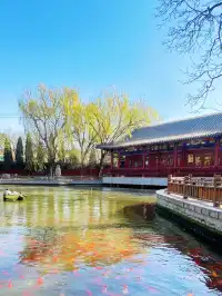 正定一個人逛一下午的冬日治癒路線