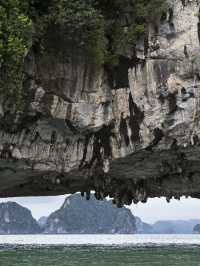 人均1k+越南這樣玩也太值了吧