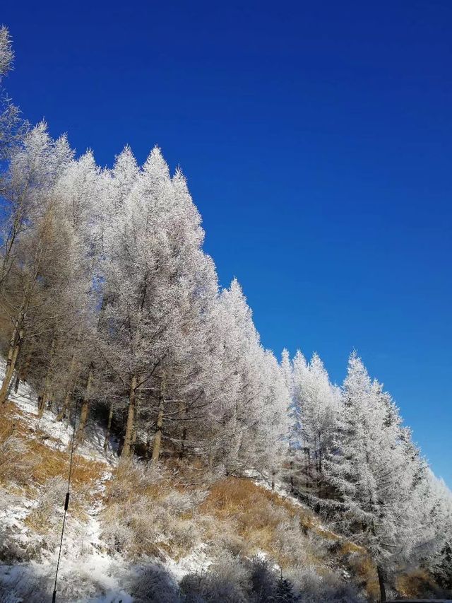 2025初雪赴一場蘆芽山冰雪奇緣!古堡溫泉全攻略 2025初雪赴一場蘆芽山冰雪奇緣!古堡溫泉全攻略