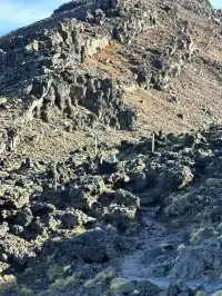 新西蘭最強徒步之一！20km Tongariro