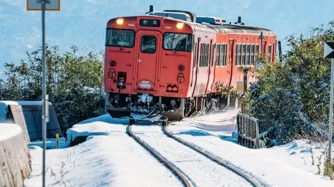 Japan Hokuriku Dreamy Winter｜Skiing + Snow Scenery All in One — traveler post in Hakuba