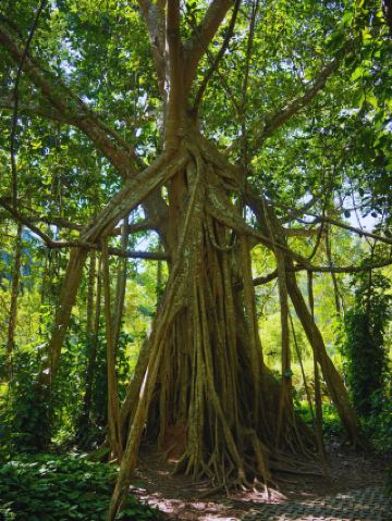 私はめったに「感動的」という言葉で場所を表現しません！