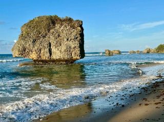 Exploring the Rock Formations of Bathsheba Beach: Nature's Sculptural Masterpiece