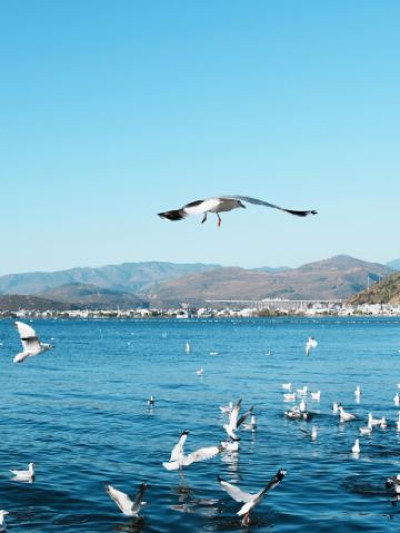 Отдых на озере Эрхай, рыбацких лодках и с чайками прямо из вашего номера – вот это настоящий отдых!