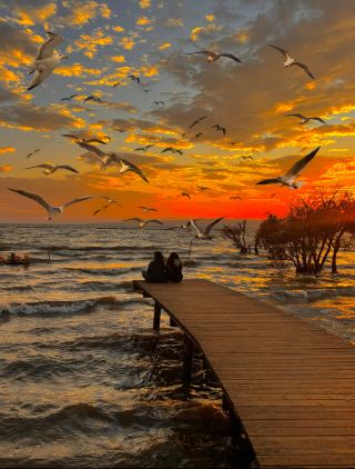 ทริปพักผ่อนสุดโรแมนติก 2 วัน 1 คืนในฤดูหนาวที่เมืองคุนหมิง: นกนางนวลและทุ่งดอกไม้สำหรับวันหยุดสุดโรแมนติก