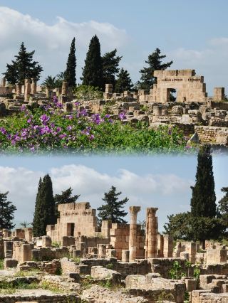 Utica and Sejnane, Tunisia's Lesser-Known Hidden Gems