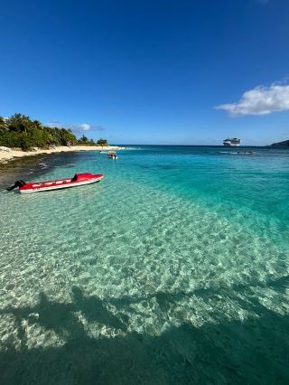 Tonga: Swimming with humpback whales at the earliest sunrise in the Pacific Ocean