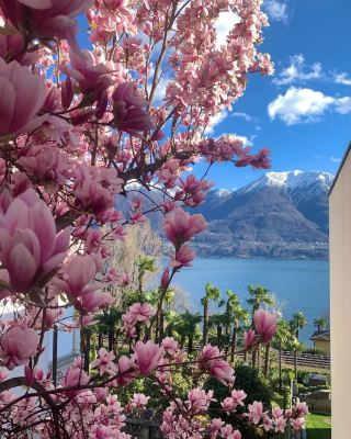 Minusio, a hidden gem in the Swiss canton of Ticino—a poetic haven